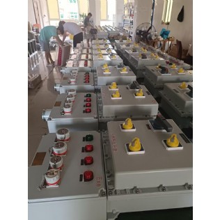 防爆檢修插座箱